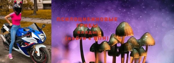 тгк Алзамай