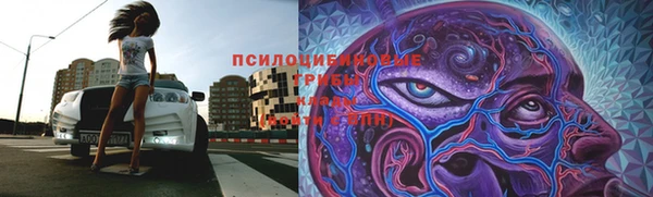 spice Алексеевка