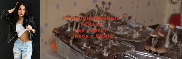 тгк Алзамай