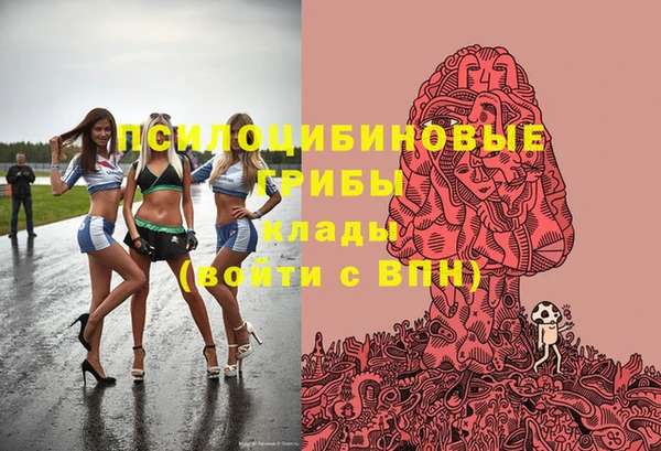 тгк Алзамай