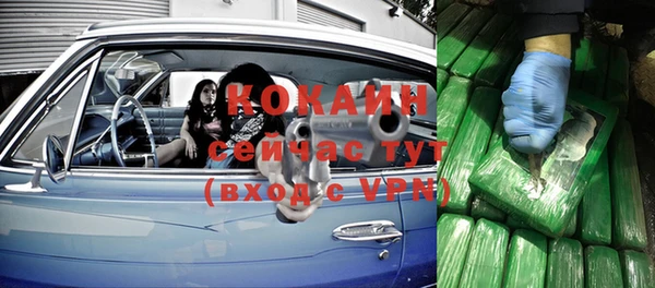 тгк Алзамай