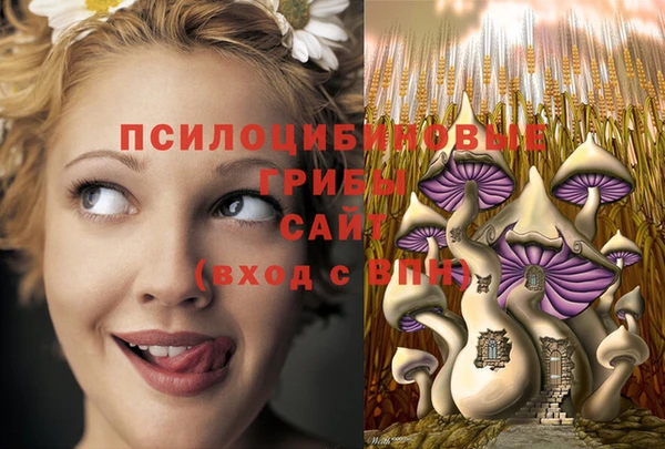 тгк Алзамай